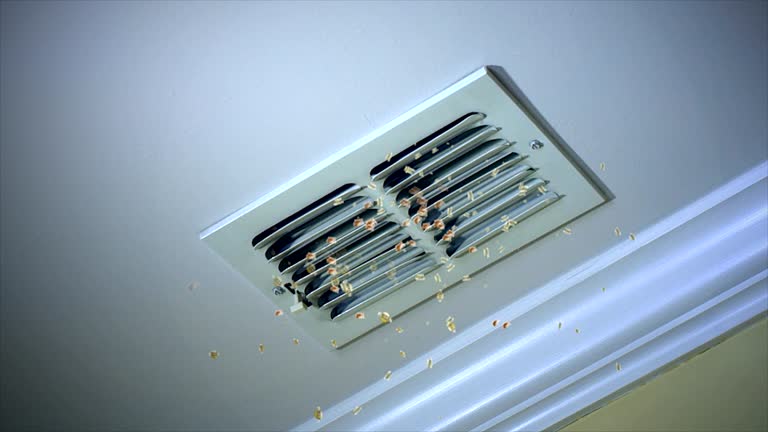 Best HVAC System Cleaning  in Rice, TX