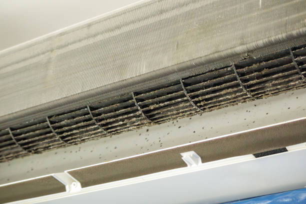 Best Duct Cleaning for Offices  in Rice, TX